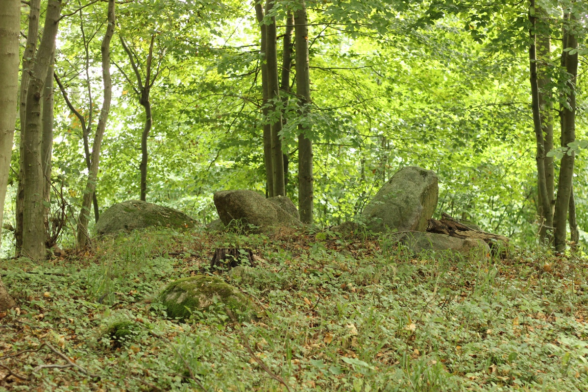 Vogelsang