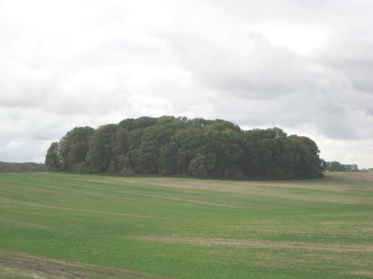 Very large barrow on the Island of Rügen.
The name suggest a Pagan Ritual use. 

