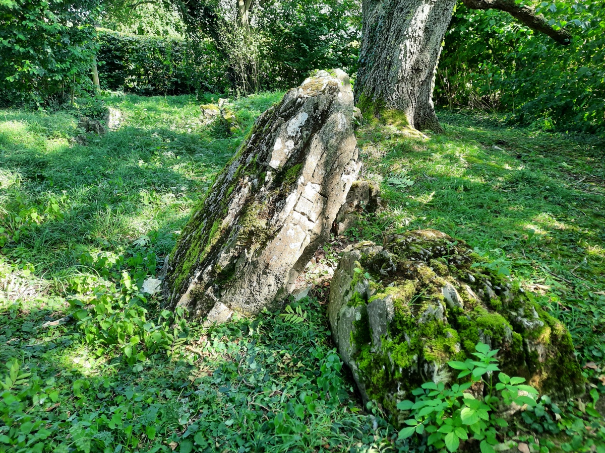 Click for full size image of Kirchborchen Steinkiste (1) (PID:279810) Kirchborchen Steinkiste (1)