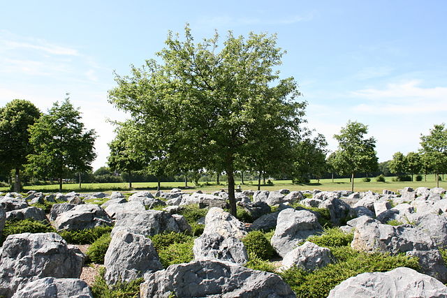 Viersener Steinlabyrinth