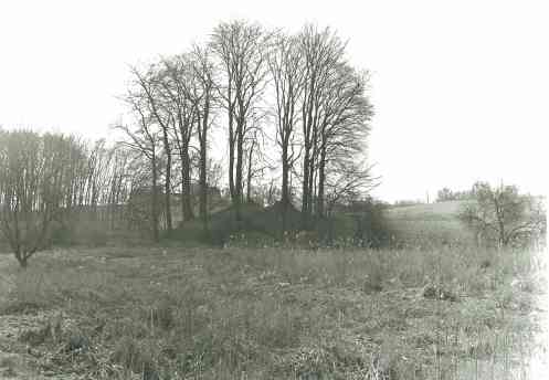 Click for the gallery page to add comments and vote (PID:131193) Dellberg