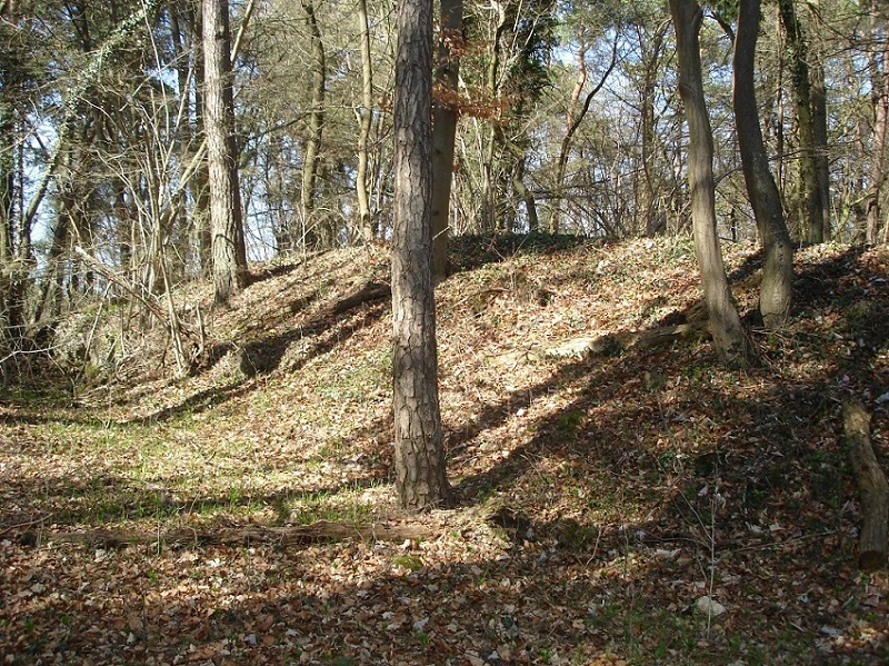 Abschnittswall am Kartstein