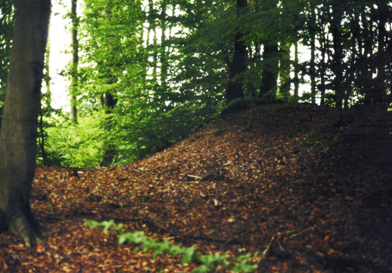Ringwall Gueldenberg