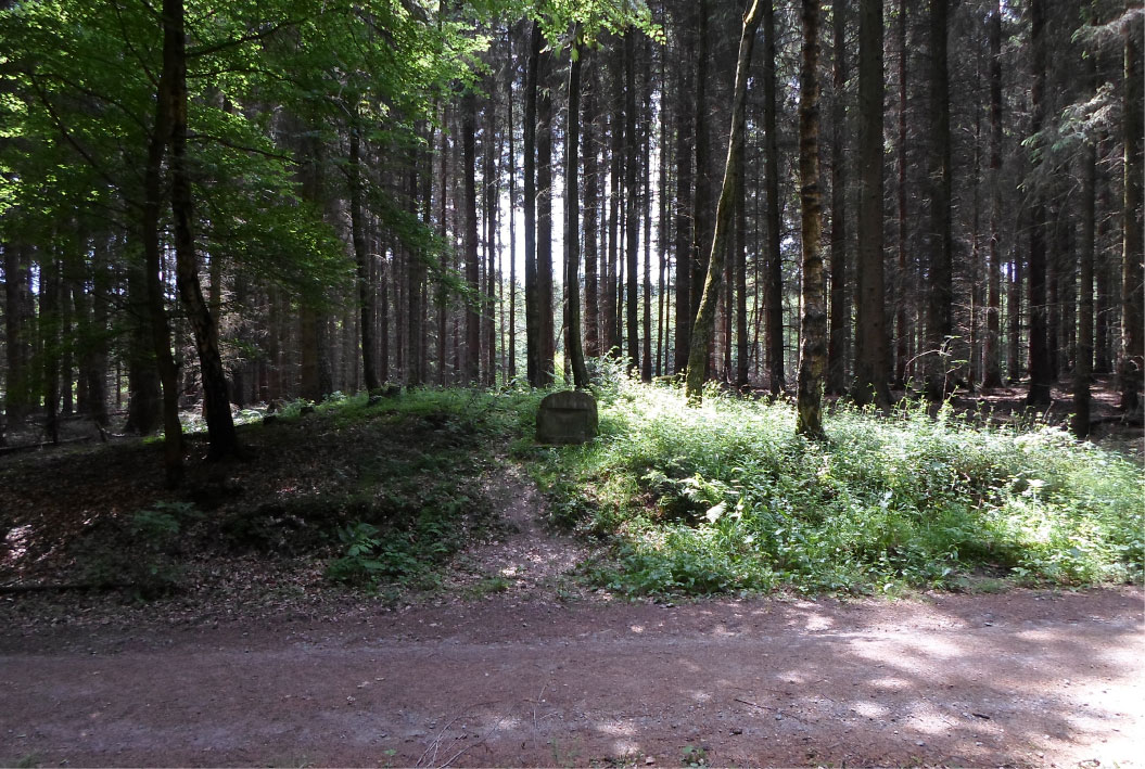 Click for the gallery page to add comments and vote (PID:133320) Grabhügel Grävingholz (Ergste)