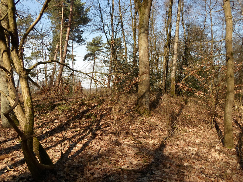 Click for the gallery page to add comments and vote (PID:163020) Reken Grabhügel 4108/10