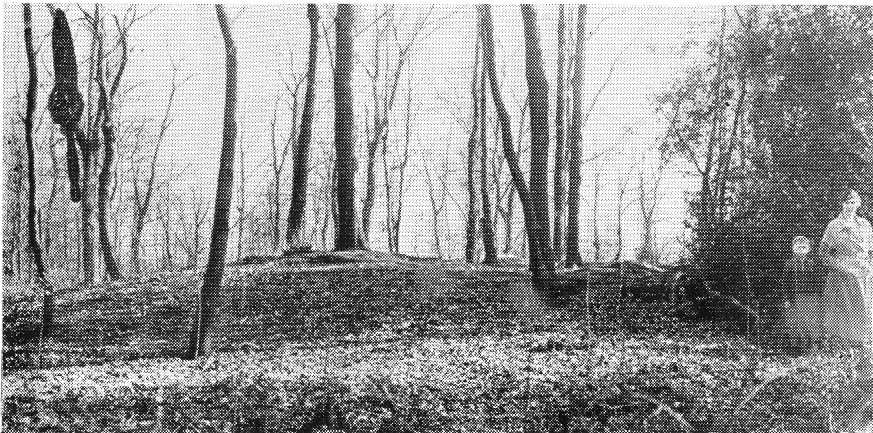 Click for the gallery page to add comments and vote (PID:130669) Herne Gysenberg Huegelgraeberfeld