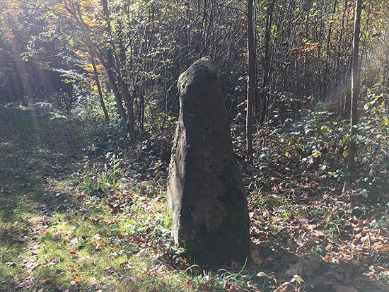 Click for the gallery page to add comments and vote (PID:159704) Hunnenstein (Dossenbach)
