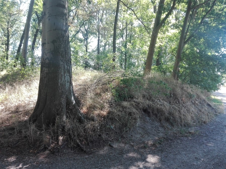 Click for the gallery page to add comments and vote (PID:230185) Bumannsburg
