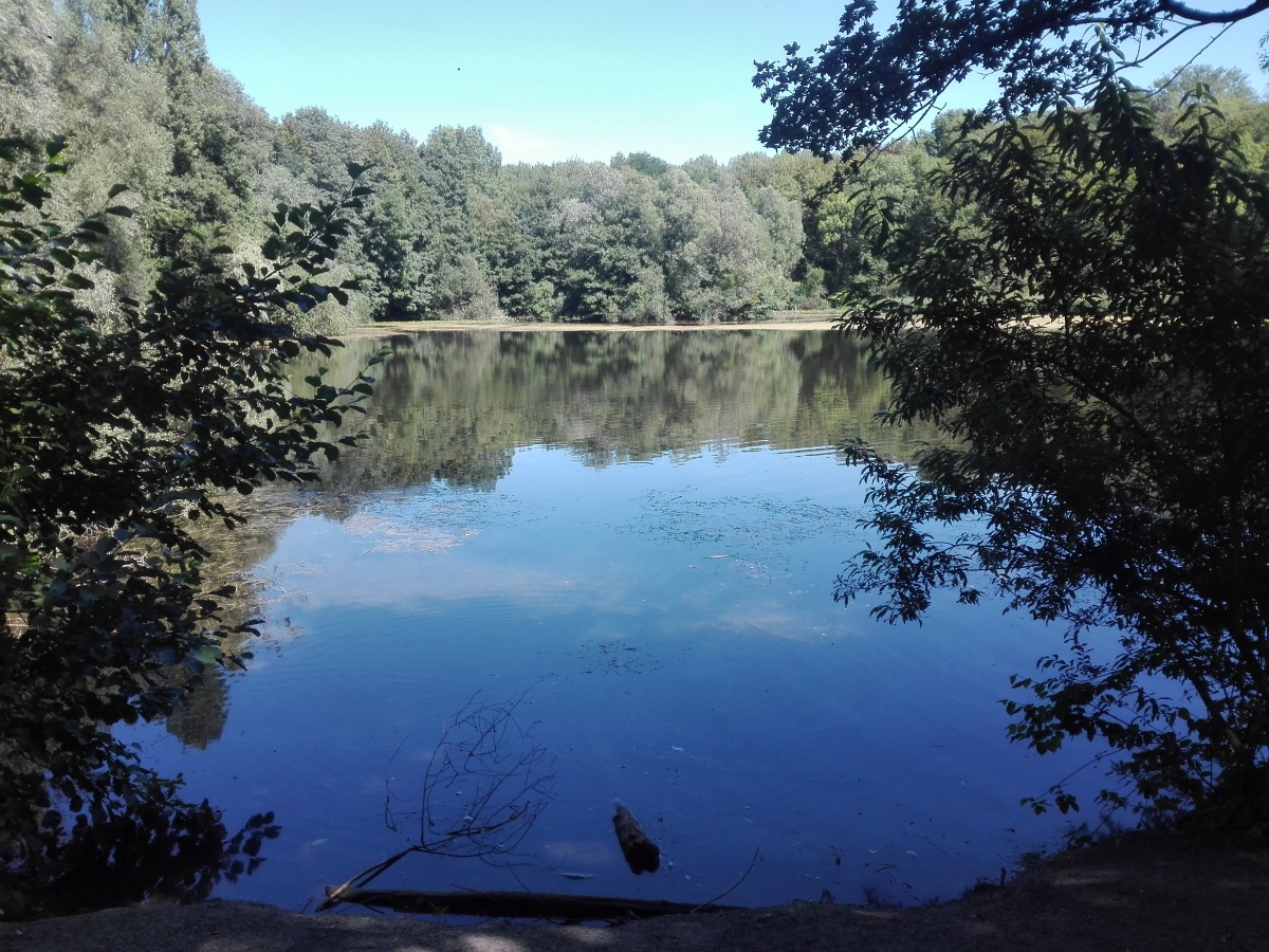 Waldsee Bönen