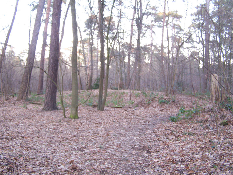 Huegelgraeberfeld Koenigsforst NW