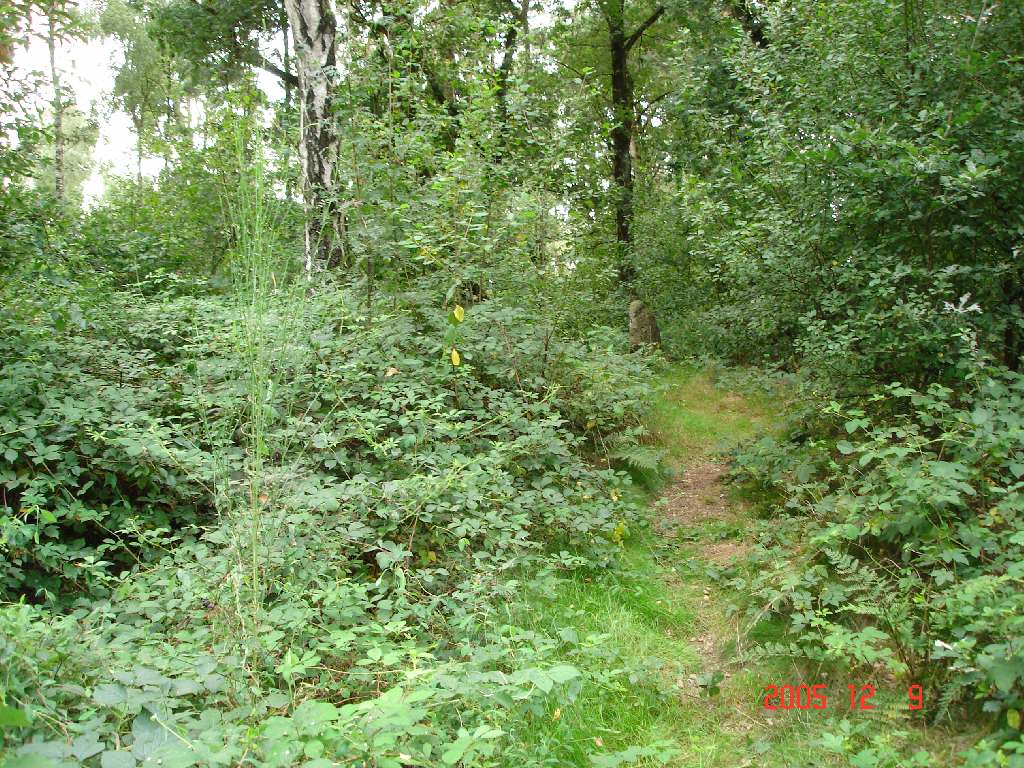 Click for the gallery page to add comments and vote (PID:51616) Ramsdorf Huegelgraeberfeld