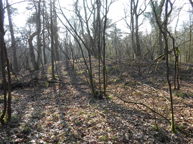 Click for the gallery page to add comments and vote (PID:145787) Ramsdorf Huegelgraeberfeld