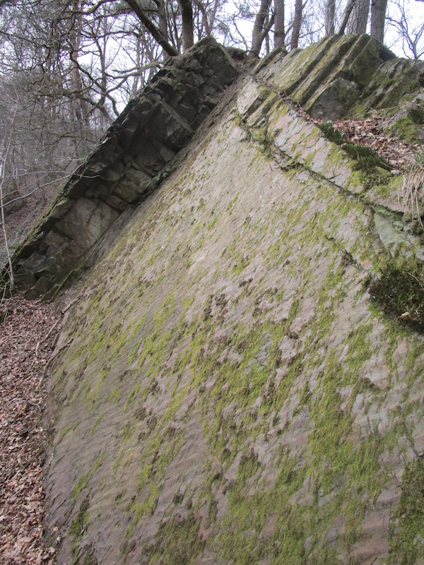 Rippelmarken im Eifgenbachtal