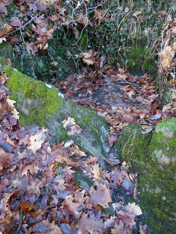 Click for the gallery page to add comments and vote (PID:160464) Steinsbörnchen