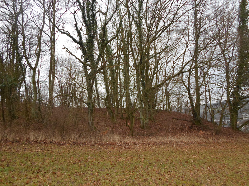 Click for the gallery page to add comments and vote (PID:161624) Wallburg Oestrich