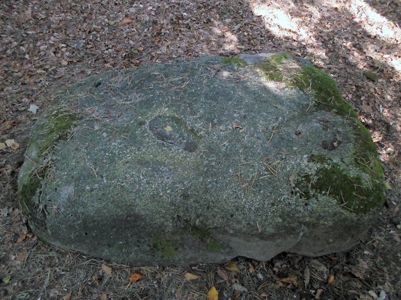 Click for the gallery page to add comments and vote (PID:138924) Wodanstein in Lanzenhagen