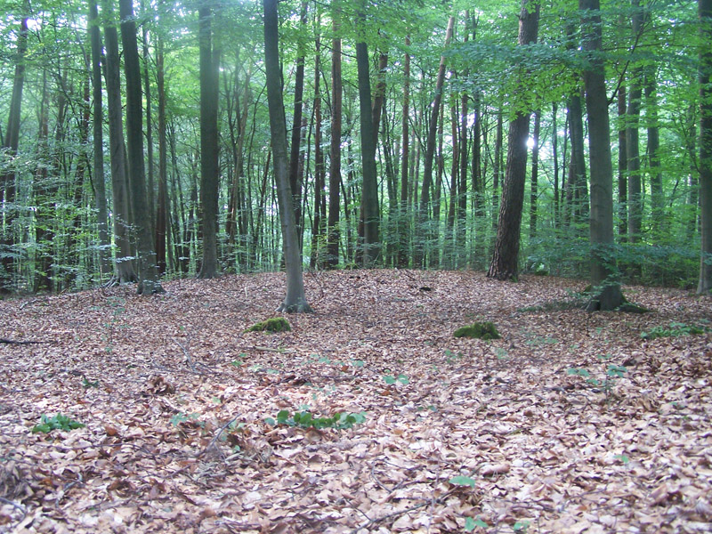 Huegelgraeberfeld Duennwalder Wald Nord