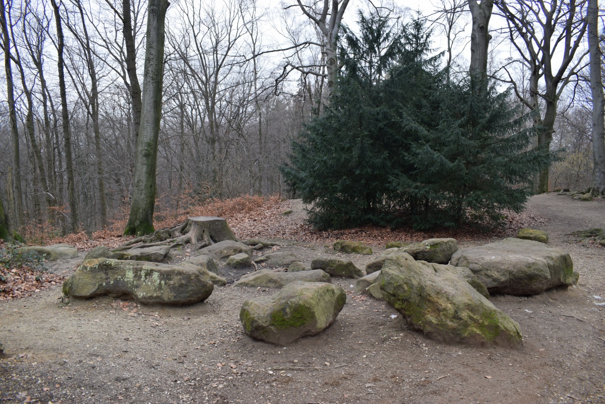 Frauensteine Düsseldorf