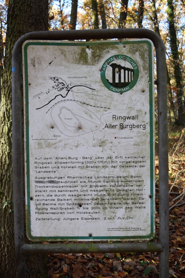 Ringwall Kreuzweingarten