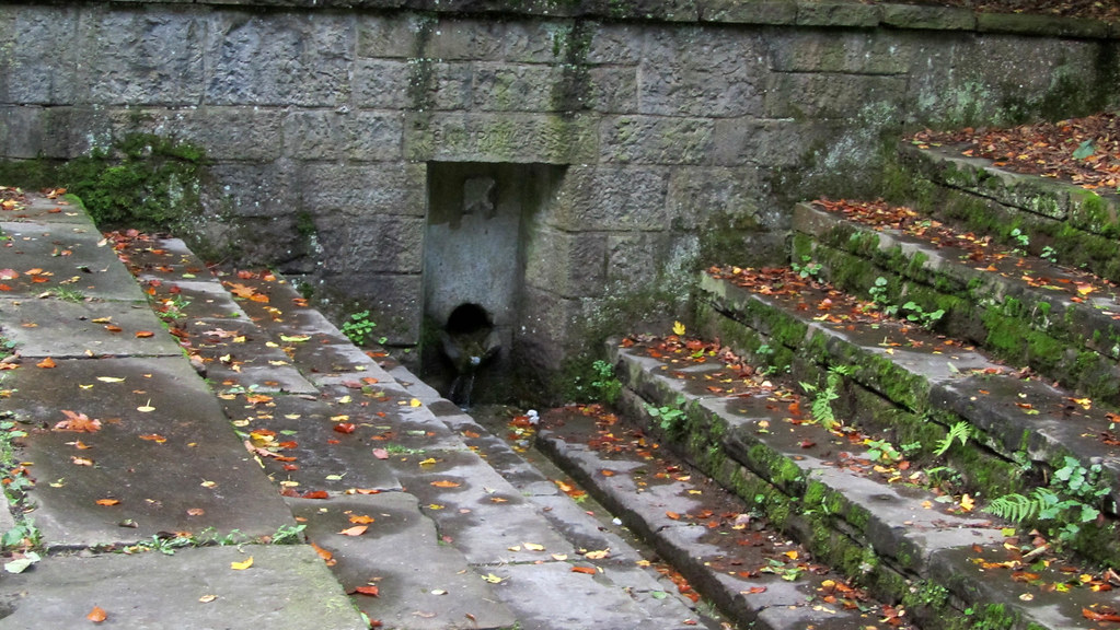 Click for the gallery page to add comments and vote (PID:144634) Heiliger Brunnen im Duisburger Wald