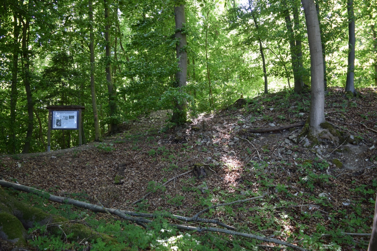 Wallburg Gellinghausen