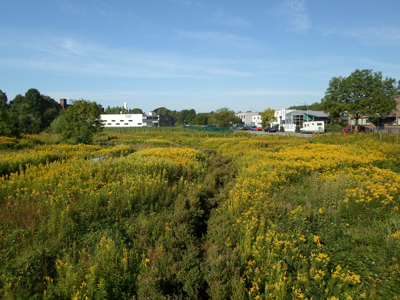 Click for the gallery page to add comments and vote (PID:169589) Grotenbach