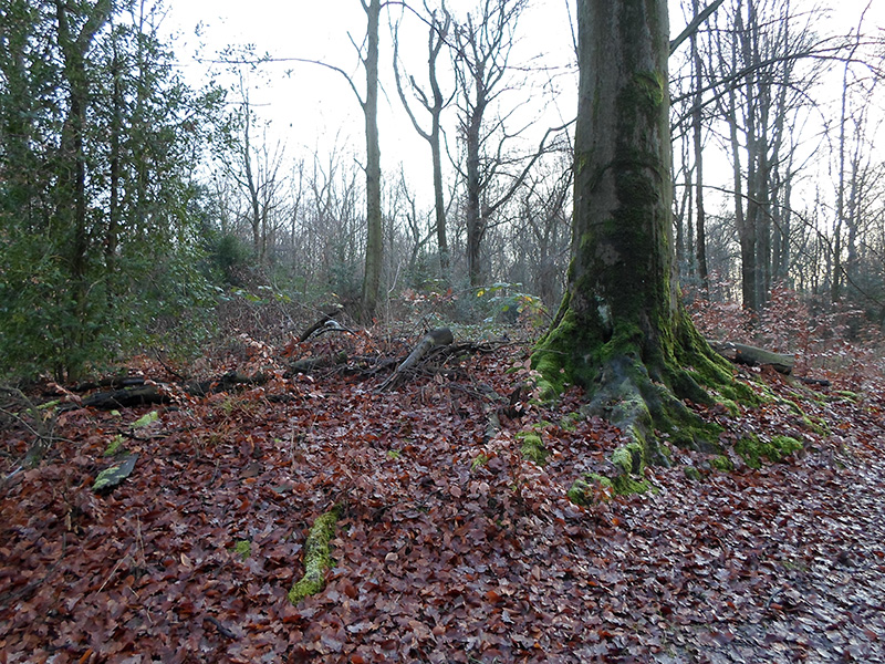 Herne Gysenberg Huegelgraeberfeld