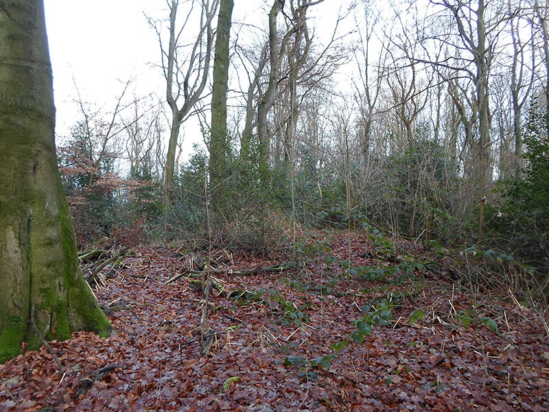 Herne Gysenberg Huegelgraeberfeld