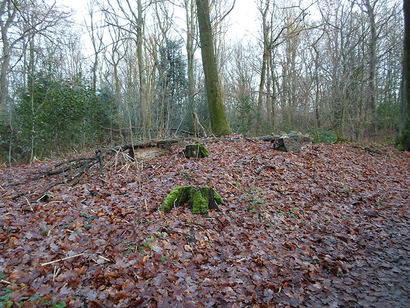Click for full size image of Herne Gysenberg Huegelgraeberfeld (PID:206431) Herne Gysenberg Huegelgraeberfeld