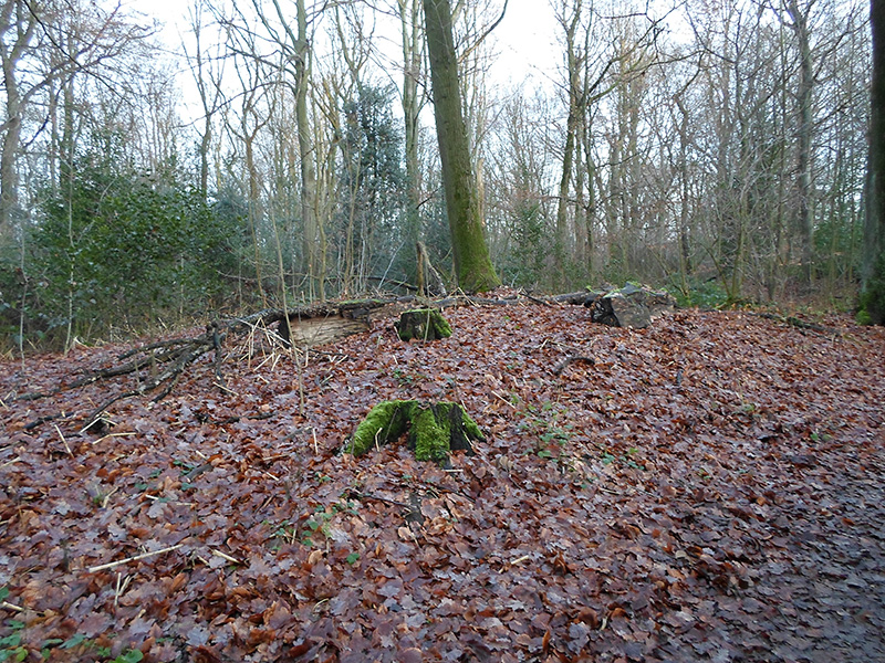 Herne Gysenberg Huegelgraeberfeld