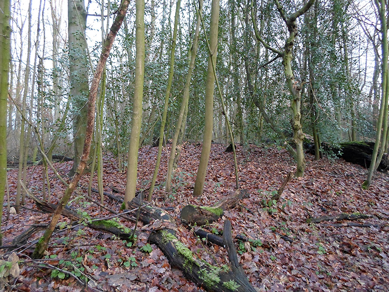 Herne Gysenberg Huegelgraeberfeld