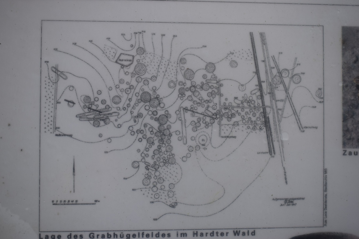 Click for full size image of Grabhügelfeld Hardt (PID:234768) Grabhügelfeld Hardt