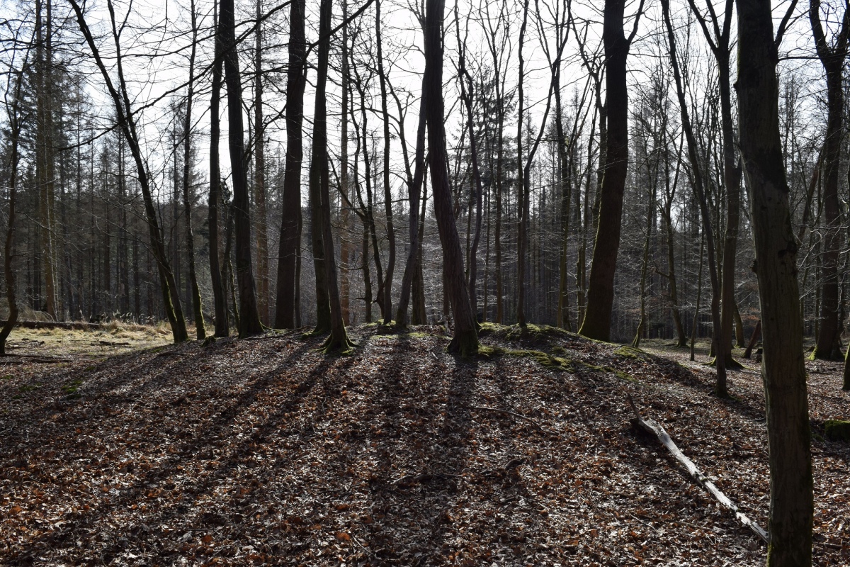 Click for the gallery page to add comments and vote (PID:223549) Grabhügel Große Aupke