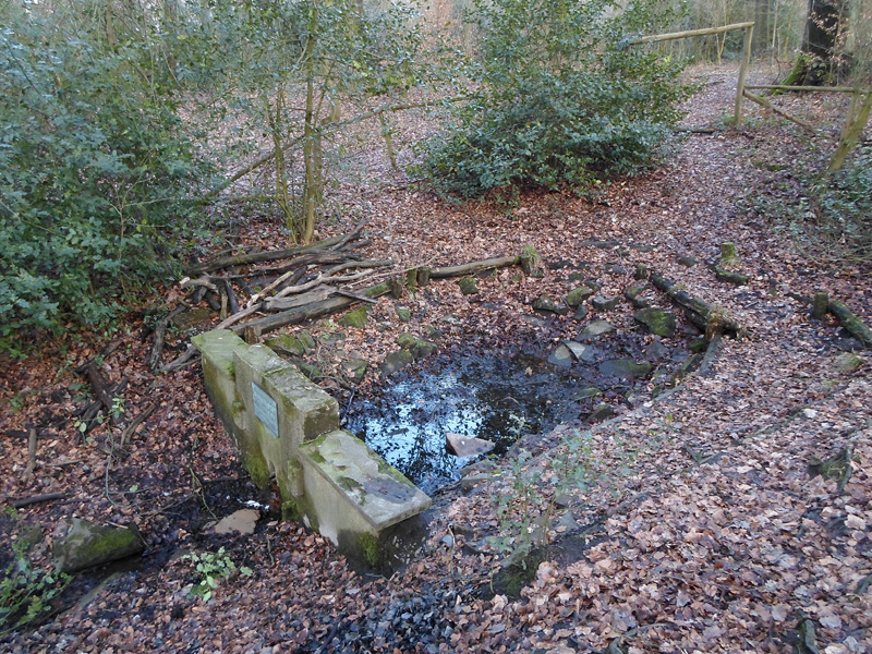 Click for the gallery page to add comments and vote (PID:162453) Lohbach Quelle