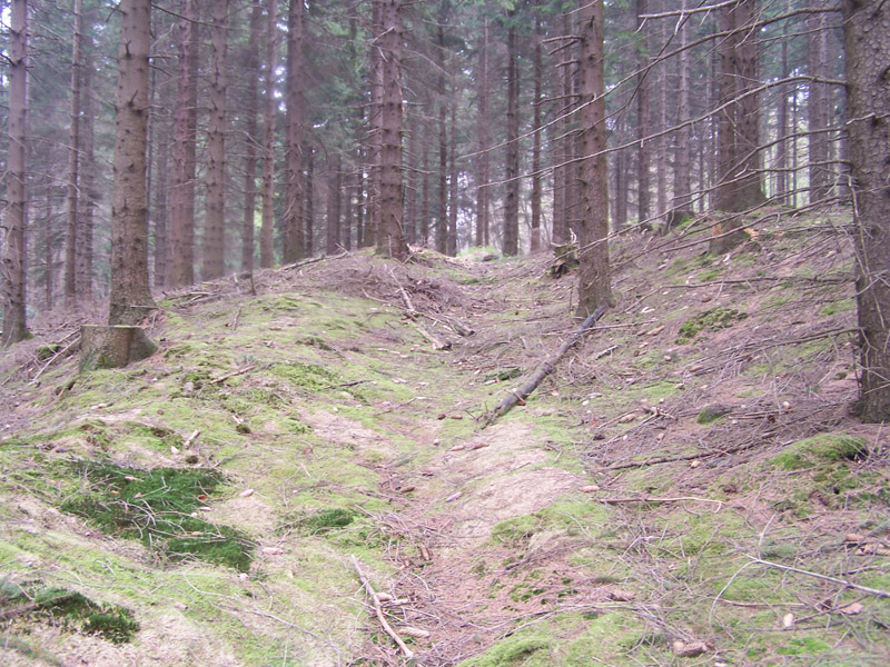 Ringwall Luederich
