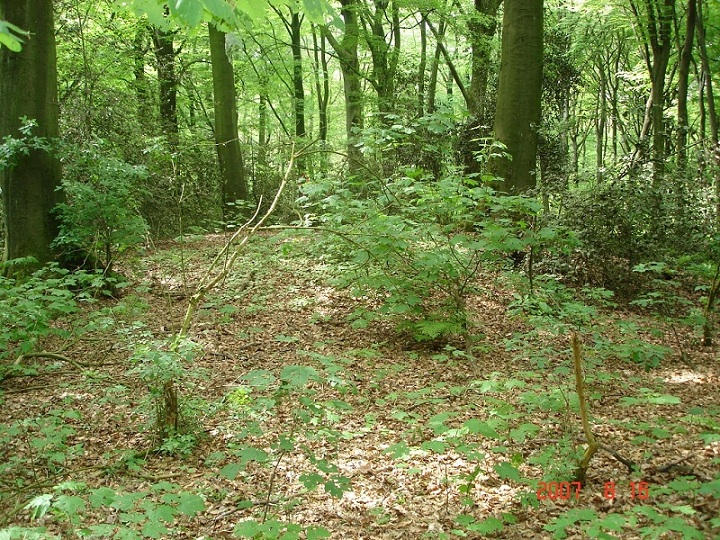 Herne Gysenberg Huegelgraeberfeld