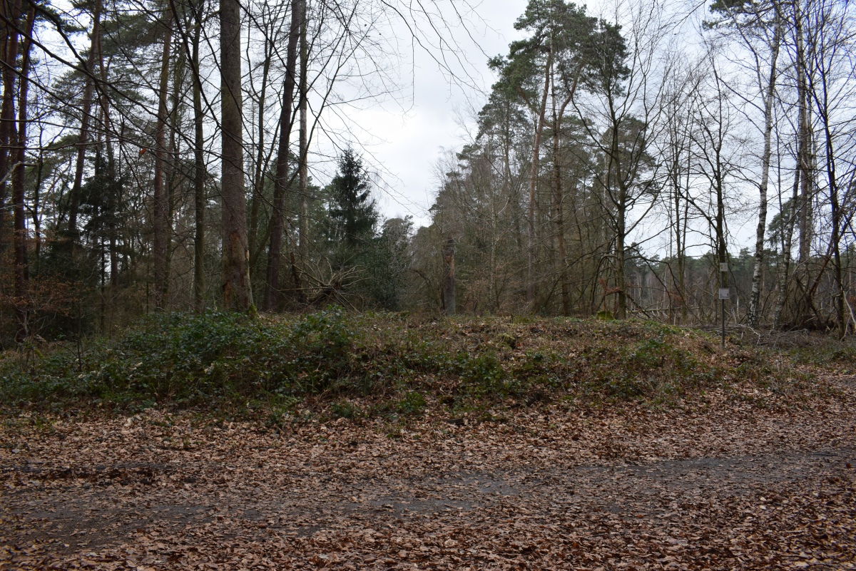 Grabhügelgruppe Lohmarer Wald