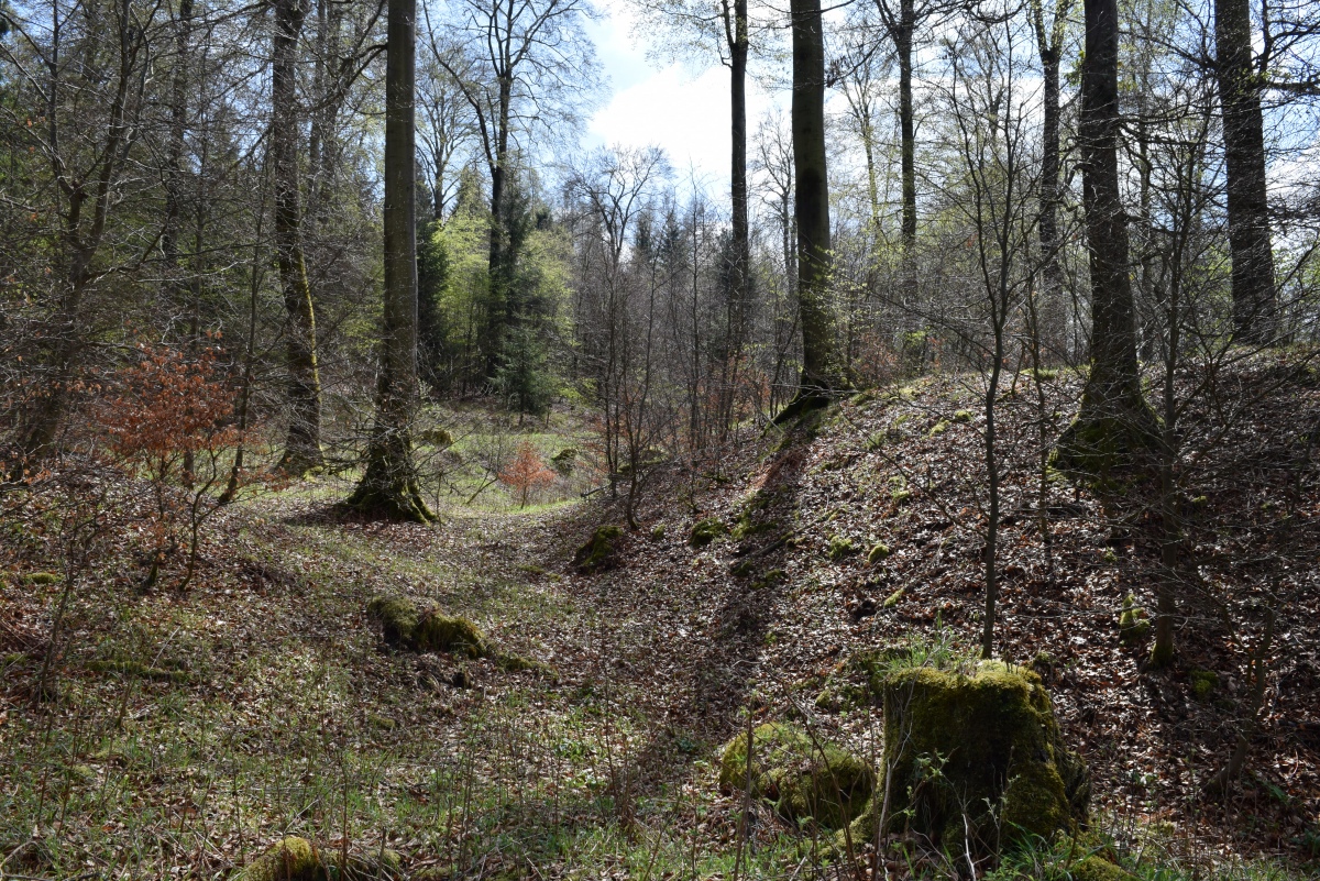 Click for the gallery page to add comments and vote (PID:302540) Wallanlage Borberg