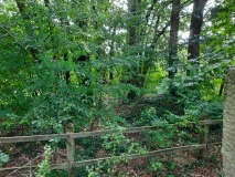 Rheine Megalithgrab