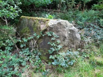 Leistruper Wald Opferstein 1