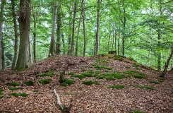 Grabhügelgruppe Haiberg