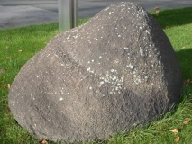 Brunstein