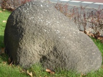 Brunstein