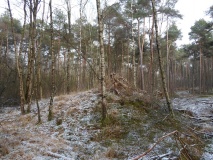 Grabhügelfeld Dülmen-Welte
