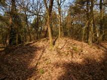 Grabhügelfeld Elvenkömpen