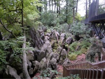 Felsenmeer (Sea of Stones)