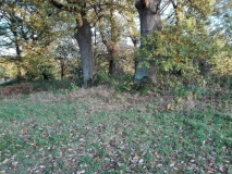Holthausen Huegelgraeberfeld