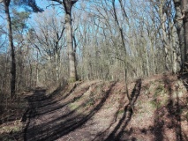 Sinsener Wallburg