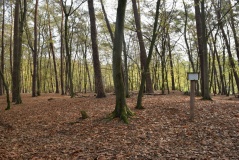 Huegelgraeberfeld Koenigsforst NW
