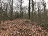 Click for full size image of Wallburg Hülser Berg (PID:161961) Wallburg Hülser Berg